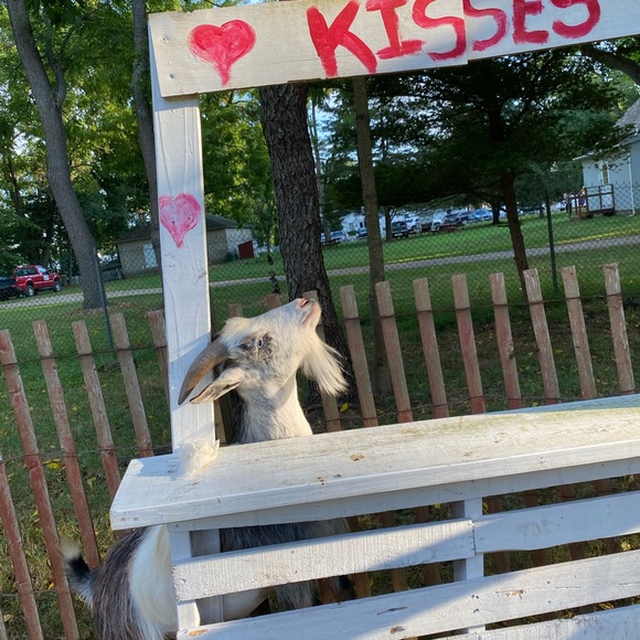 💎MEET THE POSHER💎 Bestdressed995 - Picture 15 of 16